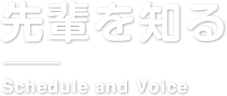 先輩社員を知る